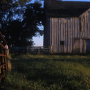 Country Fence